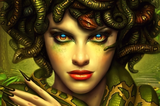 An Artist's Rendering of The Medusa